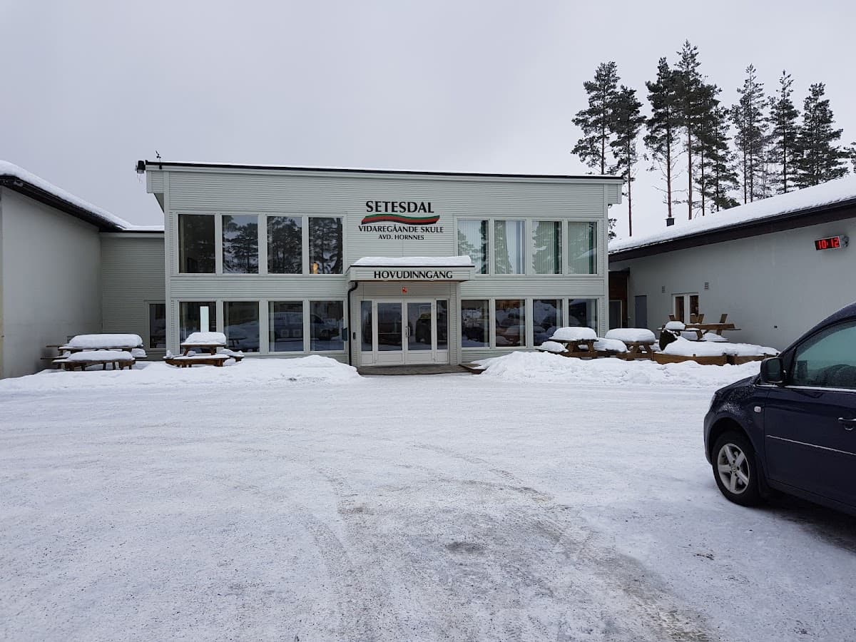Foto av Setesdal vidaregåande skule