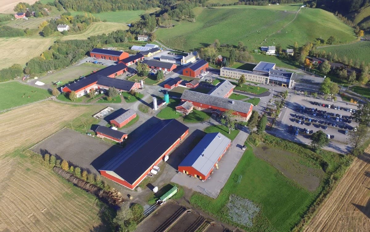 Foto av Skjetlein videregående skole