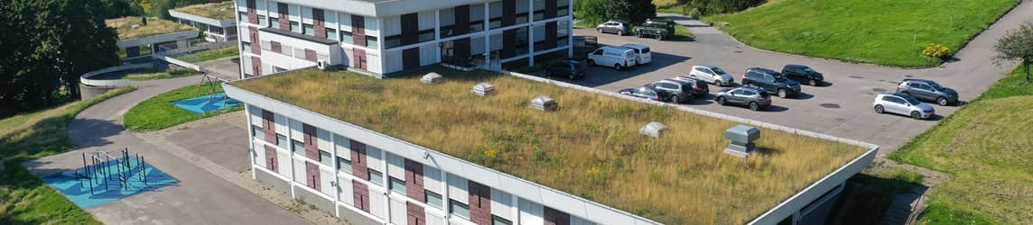 Foto av Lønnebakken skole