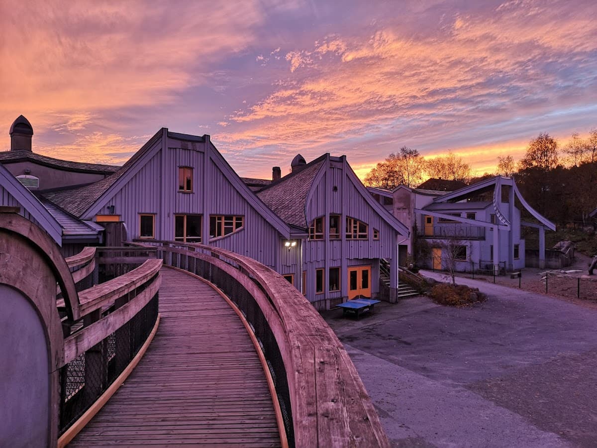 Foto av Steinerskolen i Stavanger videregående skole