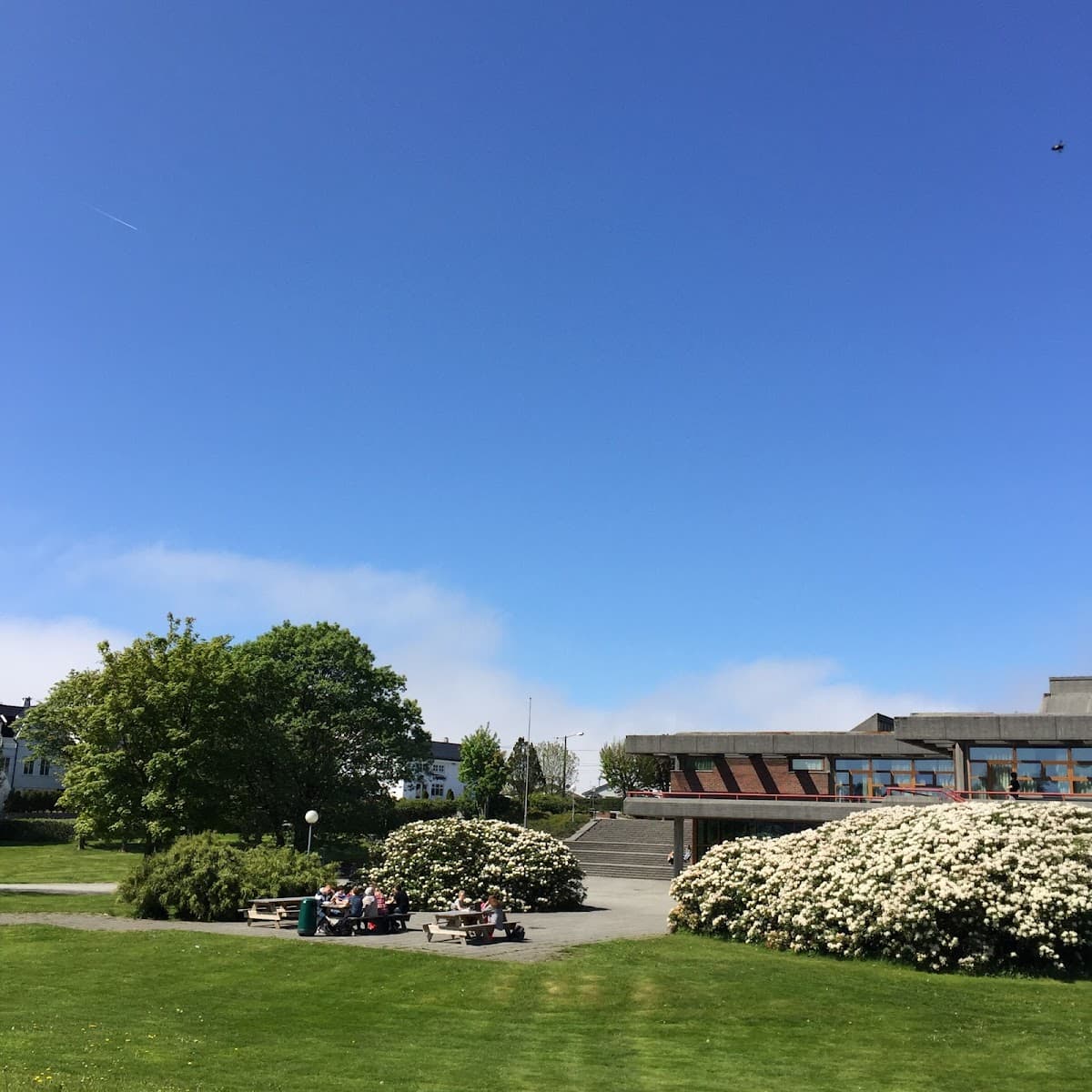 Foto av Vardafjell videregående skole