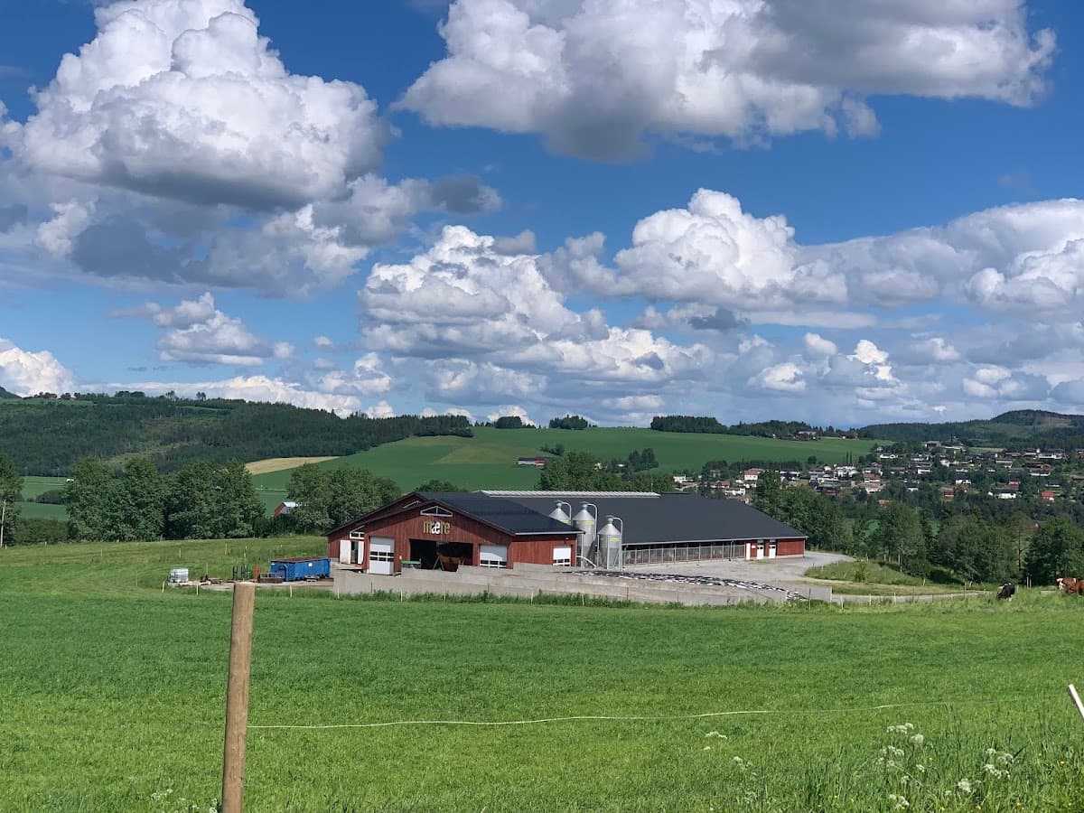 Foto av Mære landbruksskole
