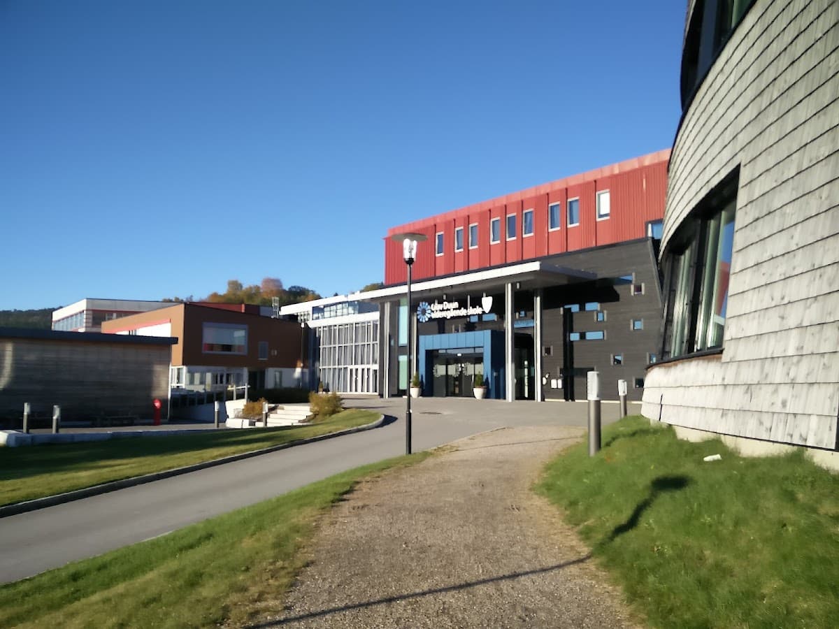 Foto av Olav Duun videregående skole